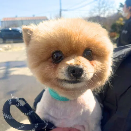 부산-사상-2026-00023