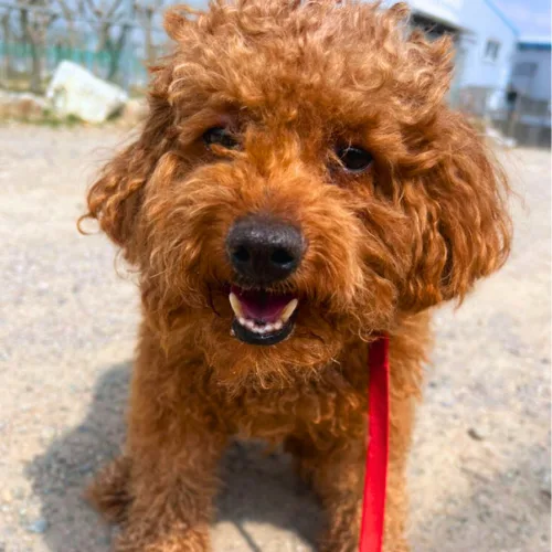 부산-북구-2026-00001