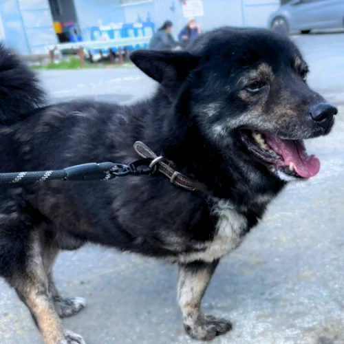 경남-김해-2022-01743