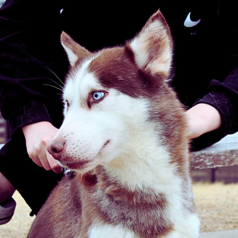 부산-해운대-2025-00481