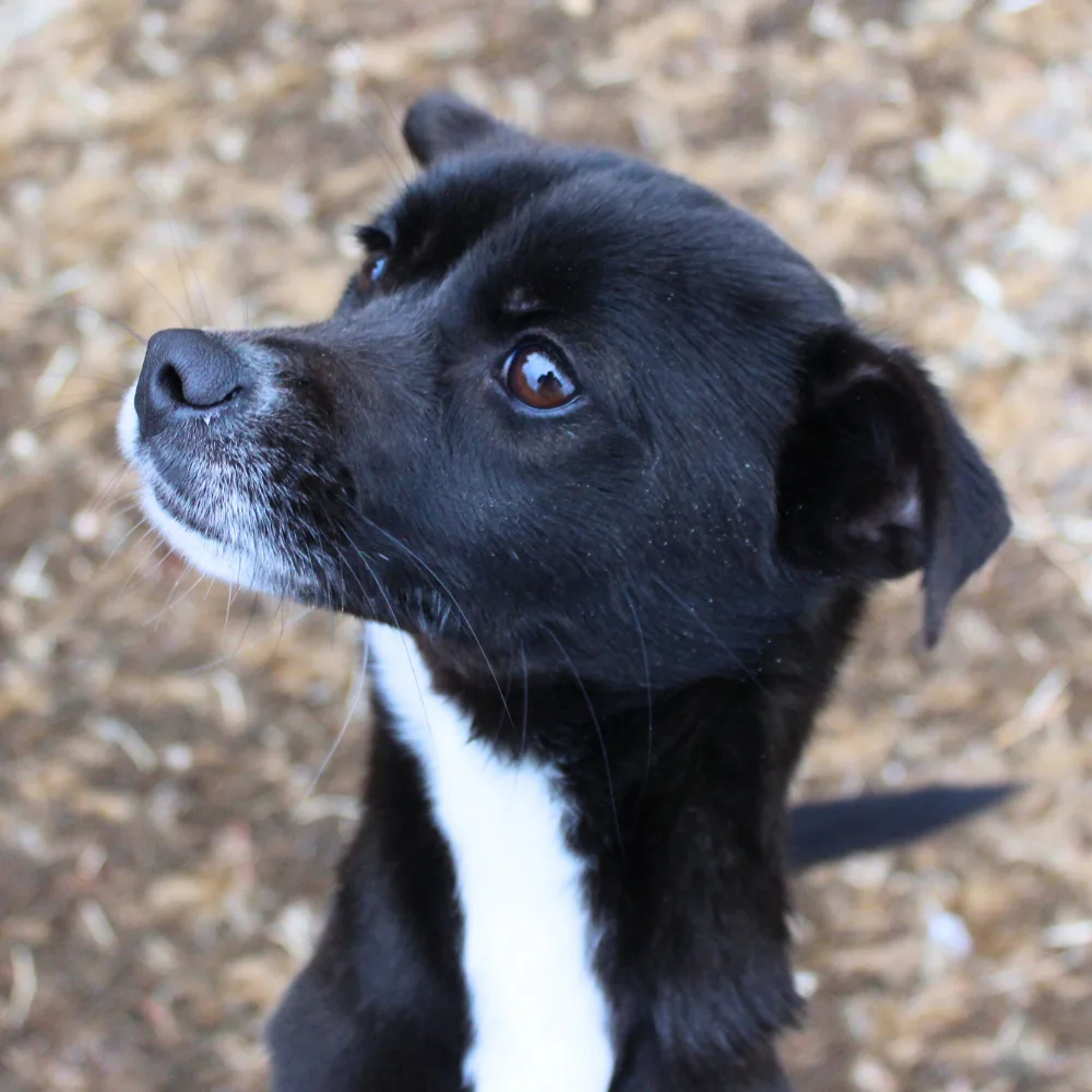 부산-해운대-2026-00020