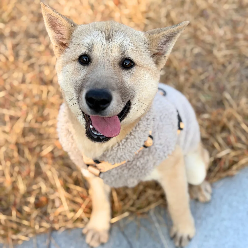 부산-기장-2025-00313