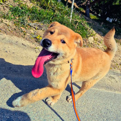 부산-중구-2026-00009