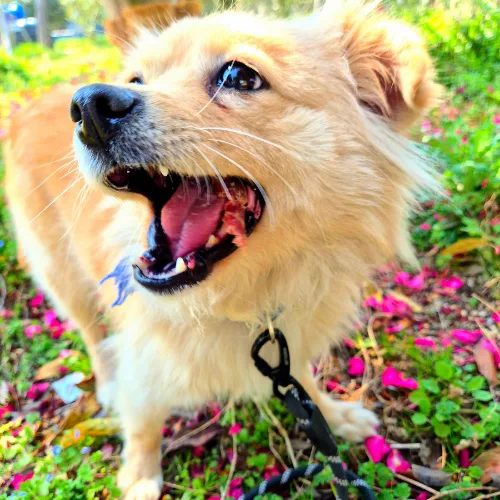 부산-서구-2024-00105