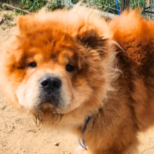 부산-서구-2023-00059