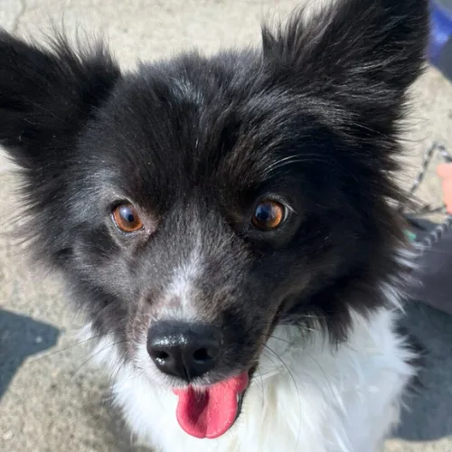 부산-서구-2023-00050