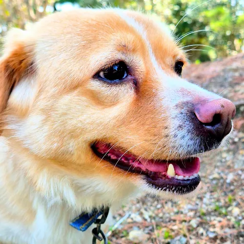 경남-김해-2022-00796