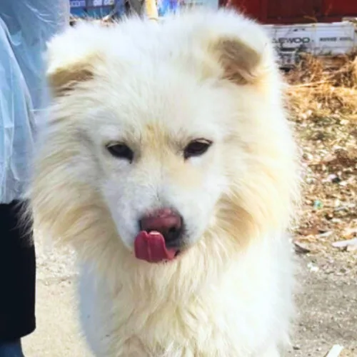 부산-강서-2026-00018