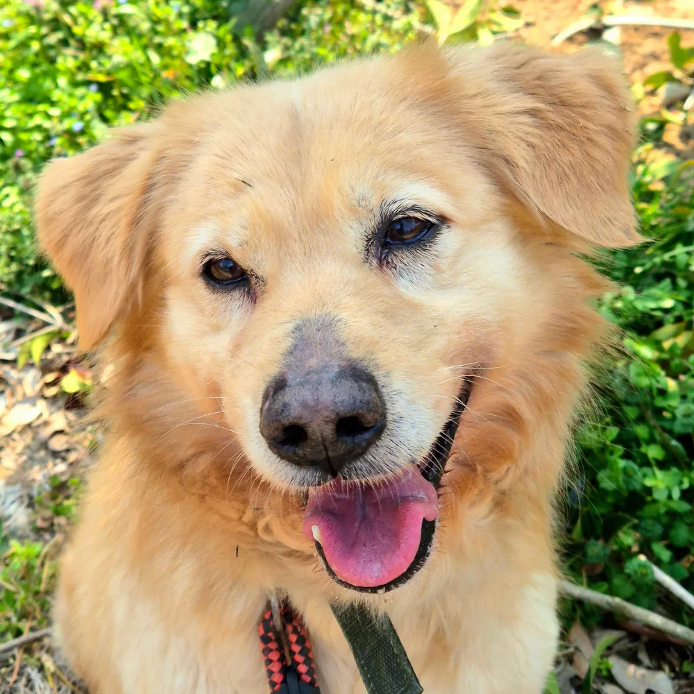 부산-북구-2023-00311