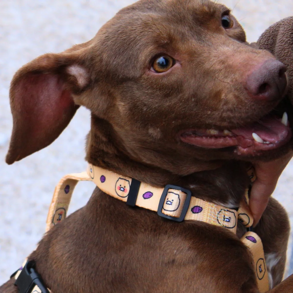 부산-기장-2025-00255