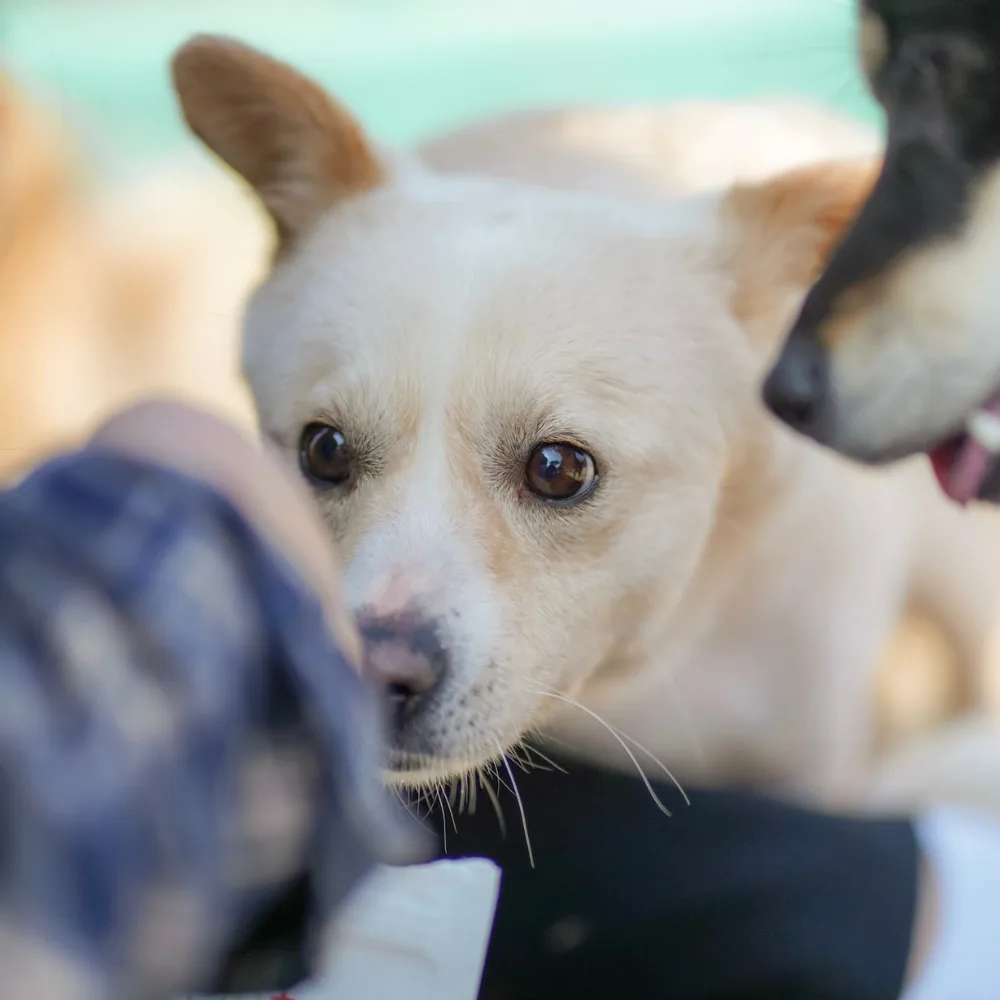 부산-기장-2025-00036