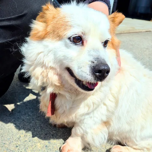 경남-김해-2022-00119