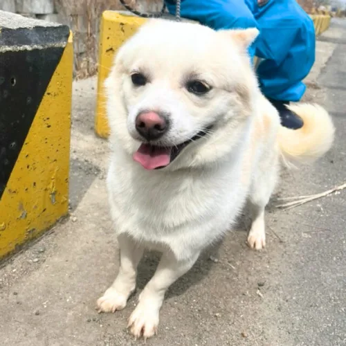 부산-서구-2025-00103