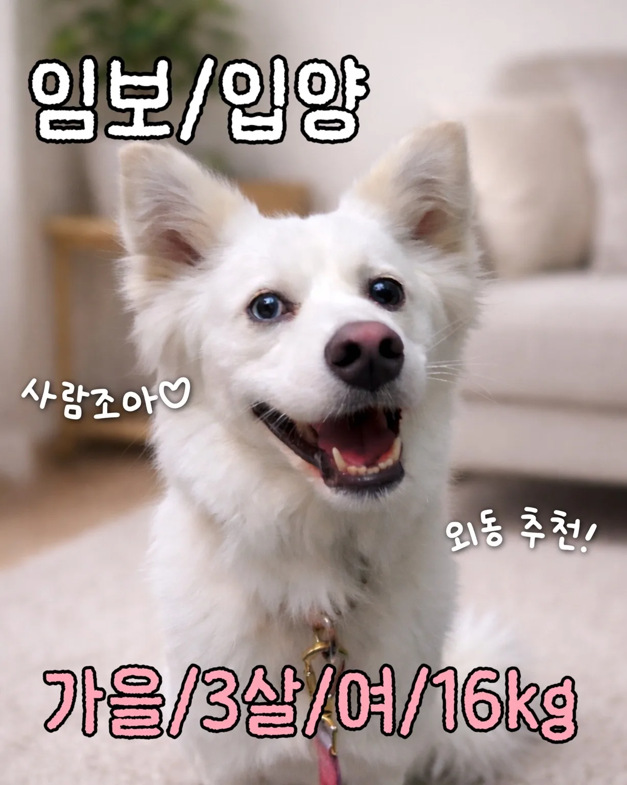 가을