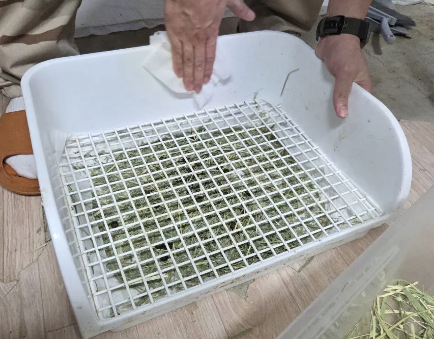 화장실 패드 교체