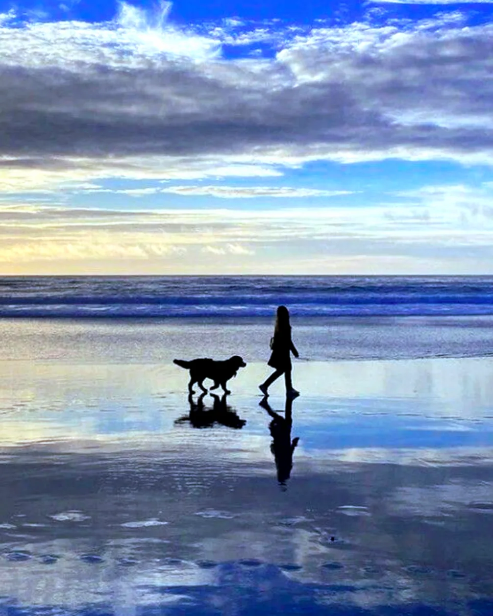 BLUE FREE DOGS 바다를 보여줄개